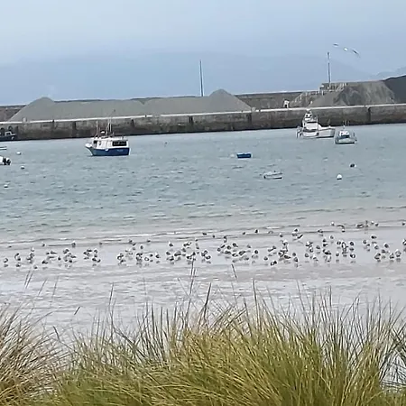 Apartament La Ilusion - *