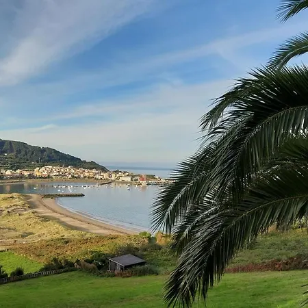 La Ilusion - Cariño